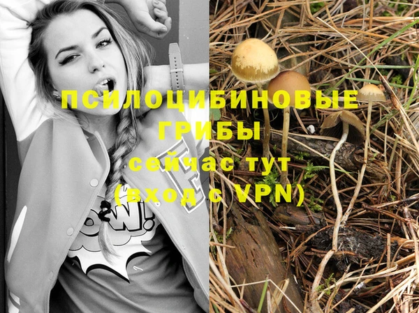 альфа пвп Беломорск